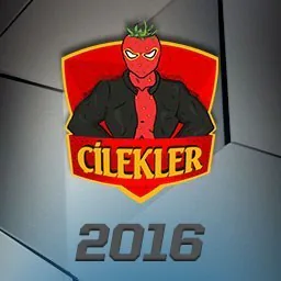2016 TCL Çilekler, League of Legends summoner icon